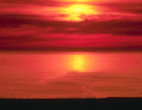 Ŭ���ϸ� �׸��� Ȯ���ؼ� ���� �� �ֽ��ϴ�.