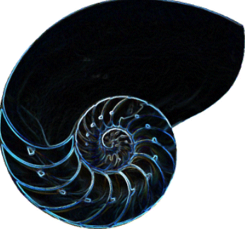 Ŭ���ϸ� �׸��� Ȯ���ؼ� �� �� �ֽ��ϴ�.