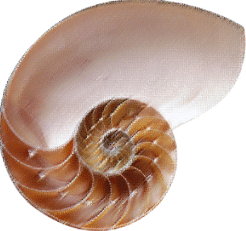 Ŭ���ϸ� �׸��� Ȯ���ؼ� �� �� �ֽ��ϴ�.